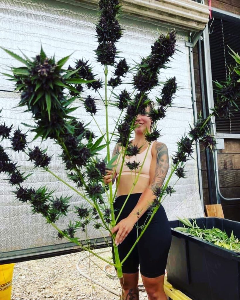 Black Strap R1 Go Mendel