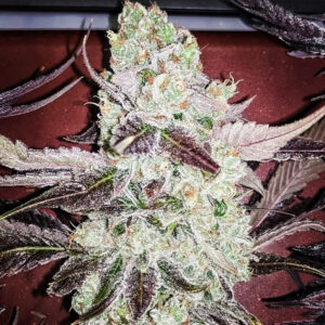 Sour Jedi Diesel V2